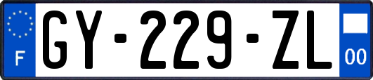 GY-229-ZL