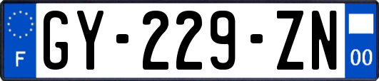 GY-229-ZN