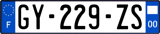 GY-229-ZS