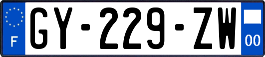 GY-229-ZW