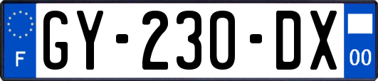 GY-230-DX
