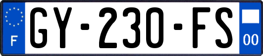 GY-230-FS
