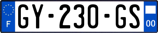GY-230-GS
