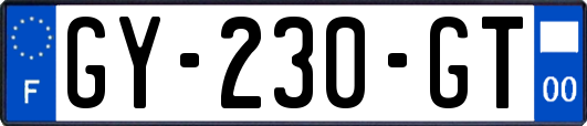 GY-230-GT