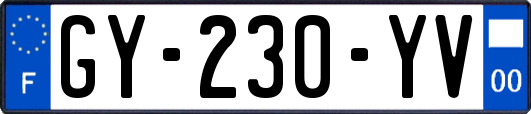 GY-230-YV