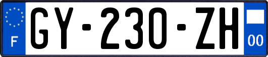 GY-230-ZH