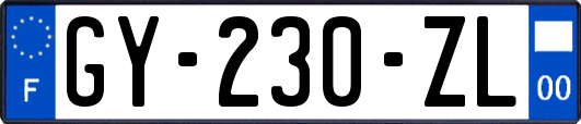 GY-230-ZL