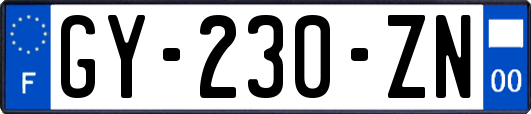 GY-230-ZN