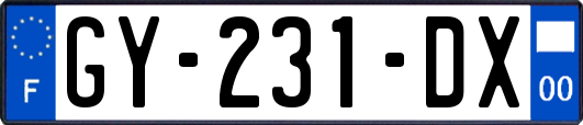 GY-231-DX