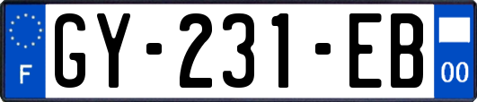 GY-231-EB