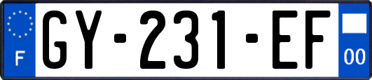 GY-231-EF