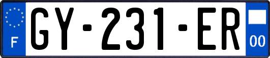 GY-231-ER