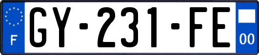 GY-231-FE