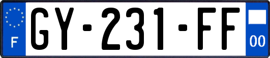 GY-231-FF