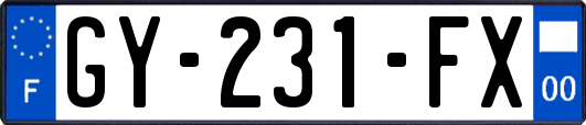 GY-231-FX