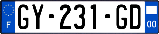 GY-231-GD