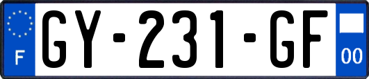 GY-231-GF