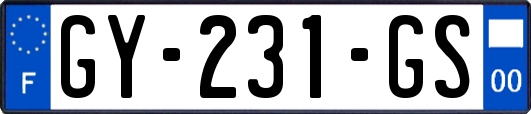 GY-231-GS
