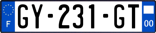 GY-231-GT
