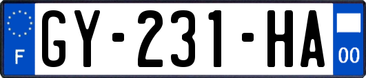 GY-231-HA