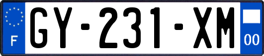 GY-231-XM