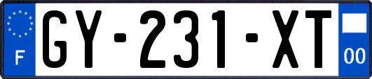 GY-231-XT