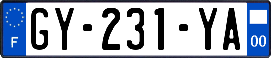 GY-231-YA