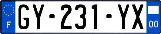 GY-231-YX