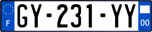 GY-231-YY