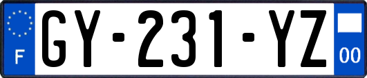GY-231-YZ