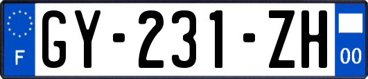 GY-231-ZH
