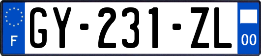 GY-231-ZL