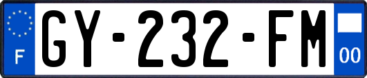 GY-232-FM