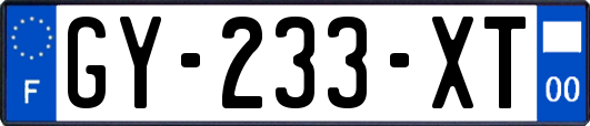 GY-233-XT