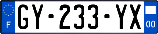 GY-233-YX