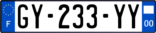 GY-233-YY
