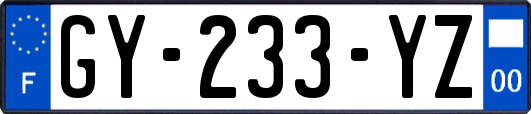 GY-233-YZ