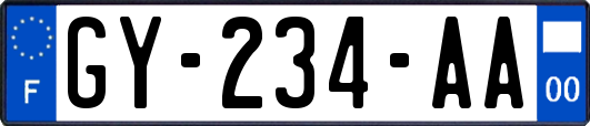 GY-234-AA