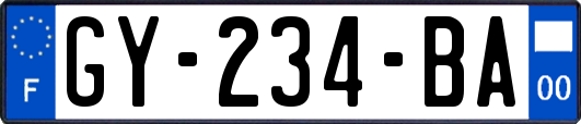GY-234-BA