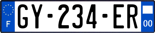 GY-234-ER