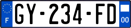 GY-234-FD