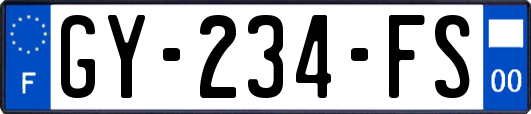 GY-234-FS