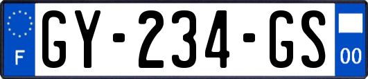 GY-234-GS