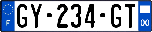GY-234-GT