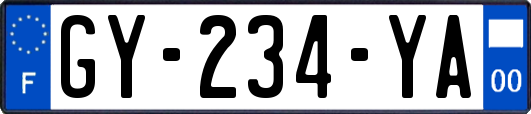GY-234-YA