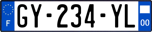 GY-234-YL