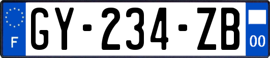 GY-234-ZB