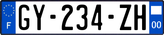 GY-234-ZH