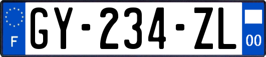 GY-234-ZL