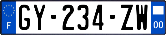 GY-234-ZW